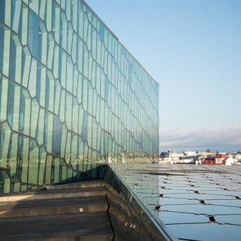 2015 08 alice friedenson harpa 1000x750