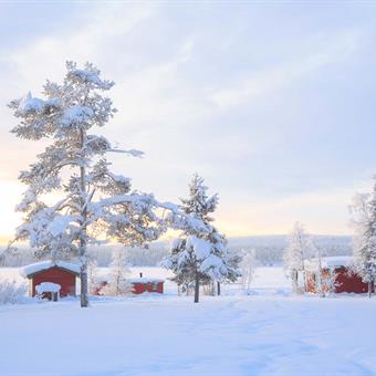 Cabin in Lapland