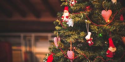Christmas Tree?400x200;crop