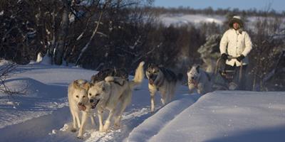 Dog sledding in Norway - ©visitnorway.com / Terje Rakke - Nordic Life