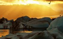 dt glacier lagoon evening zodiac tour