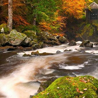Dunkeld Hermitage River in Scotland