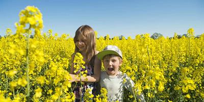 Family traveling in Sweden?400x200;crop