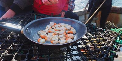 Seafood