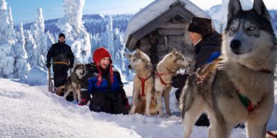 Dog Sledding in Rovaniemi - ©Visitrovaniemi.fi