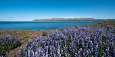 hvalfjordur iceland