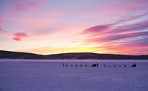 kiruna guide tour dogsledding
