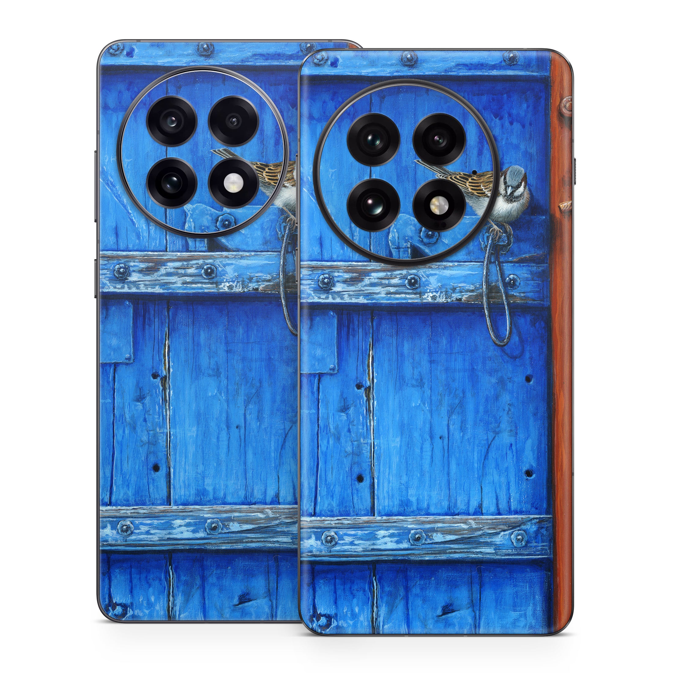 Blue Door - OnePlus 13 Skin