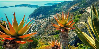 Panoramic view of a coastline in the South of France, with aloe plants in the foreground?400x200;crop
