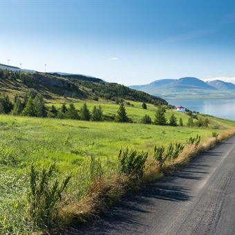 Road to Akureyri, self drive, Iceland