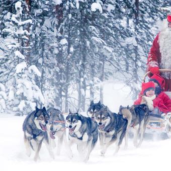 santa husky sled rovaniemi©visitrovaniemi.fi