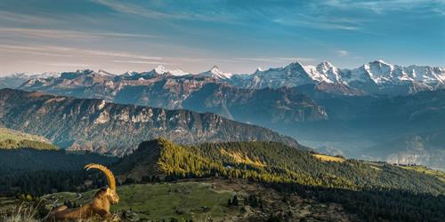 Sigriswil Gemmenalphorn ©Switzerland Tourism/Martin Maegli