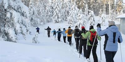 Snowshoe Walking in Lapland