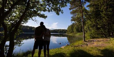 Summer in Sweden