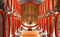 tommasi wine hospitality italy